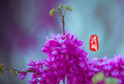 ​经典广告语录赏析