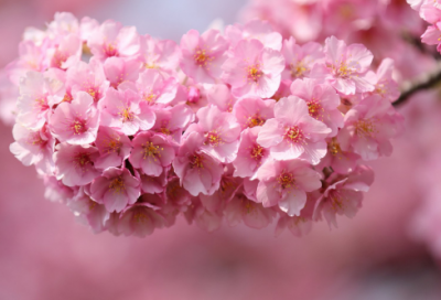 ​经典广告语录有哪些