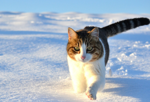 1690889362333788.png image.png