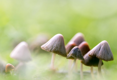 ​玉石经典语录