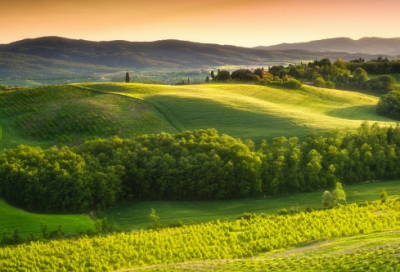 ​二次元中二经典语录