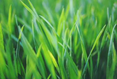 ​奔驰经典广告语录