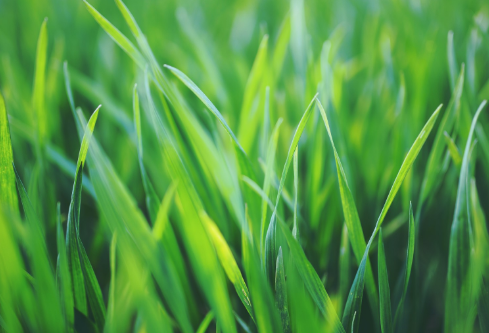 1690891356266791.png image.png