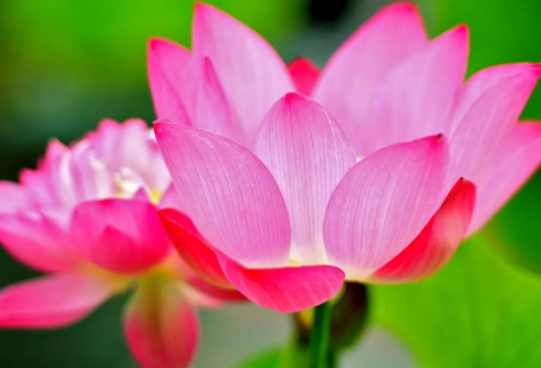 1690891688678067.png image.png