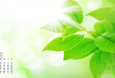 ​二次元句子迷经典语录