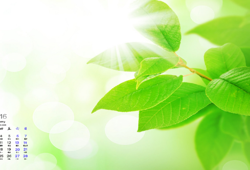 1690892684169594.png image.png