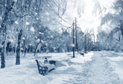 ​法兰西内战经典语录 【《法兰西内战》】