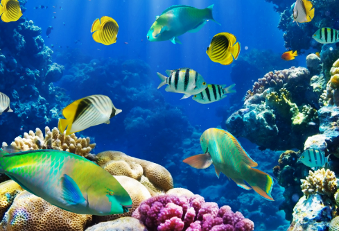 1690893680109900.png image.png