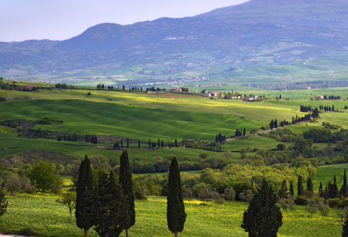 1690894012211963.png image.png