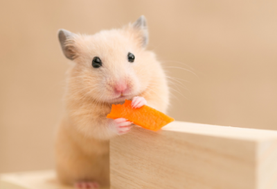 ​对妈妈的生日祝福语经典-100句