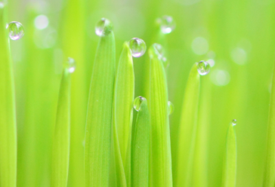 ​励志句子简短经典200字左右 【100句精选】