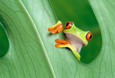 ​妈妈的生日祝福语经典-100句