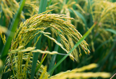 ​超兽武装冥经典语录