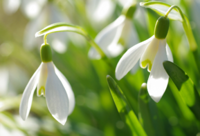 ​写给孩子的寄语简短经典-100句