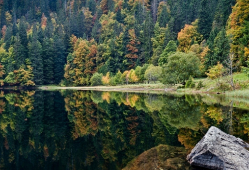 1690899489986015.png image.png