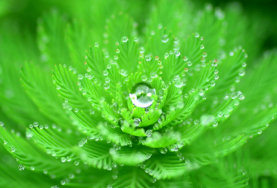 ​2023年春节经典祝福语-100句