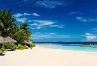 ​白岩松高考经典语录 【白岩松谈高考刺痛无数人】