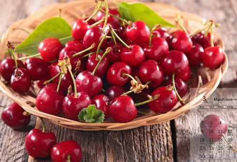 1690901149770559.png image.png