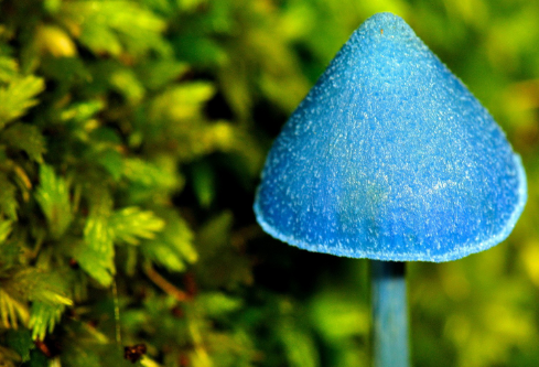 1690901813474711.png image.png