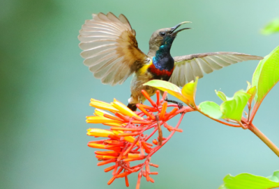 ​一句简单晚餐说说经典语录