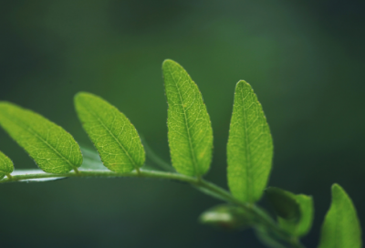 ​幼儿园老师教师寄语 【幼儿园教师寄语简短经典】