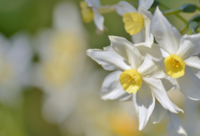 ​一年级读完家长寄语 【一年级家长寄语经典语录】