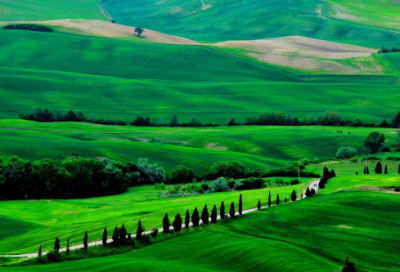 ​春雪经典语录 【春雪经典句子】