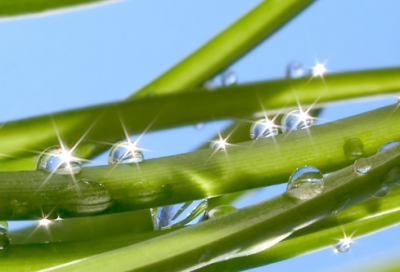 ​父母对小学毕业语言的寄语 【父母对小学毕业寄语经典语录】