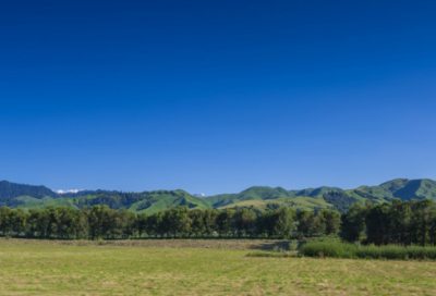 ​爸爸的经典语录 【爸爸的经典语录作文800字】