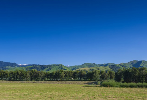 1690904635329047.png image.png