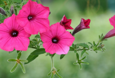 ​六一儿童节经典祝福语 【六一儿童节祝福语大全集】