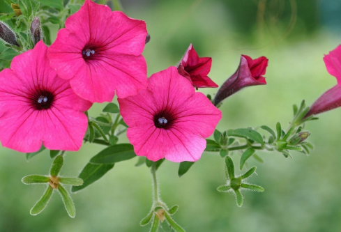 1690905133832631.png image.png