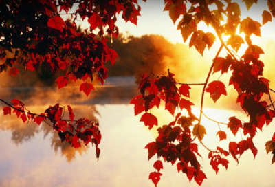 ​女人励志唯美经典句子 【100句精选】