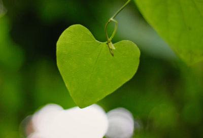​女生徒经典语录 【女生徒名句】
