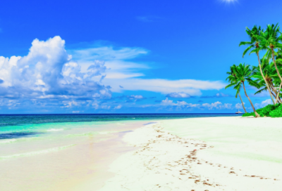 ​经典早上的祝福语录 【早上祝福语言早上祝福词语】