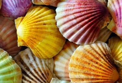 ​华为任正非经典语录 【华为任正非名言警句】