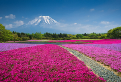 ​12岁寄语经典 【12岁寄语八个字】