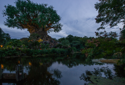 ​祝母亲节的经典语录 【祝母亲节的经典语录大全】