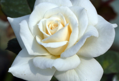 ​励志的句子经典段落-90句