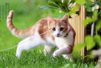 ​感恩爸妈的句子经典语录发朋友圈 【100句精选】