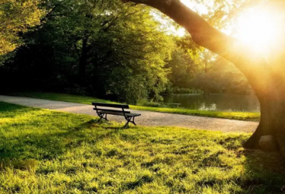 ​陈丹青经典语录大全 【陈丹青的语录】