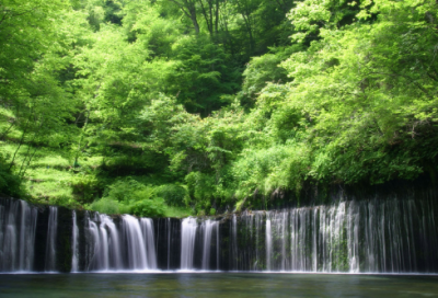 ​小学阶段家长寄语如何写才好 【小学家长寄语经典语录】