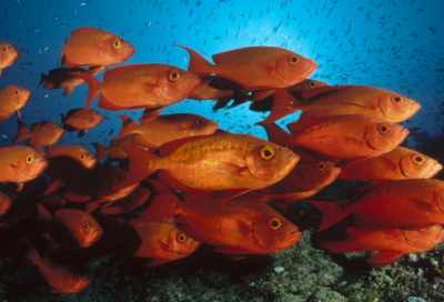 ​50岁生日经典朋友圈 【100句精选】