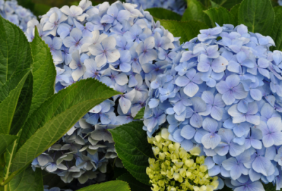 ​午夜伤感经典句子 【100句精选】