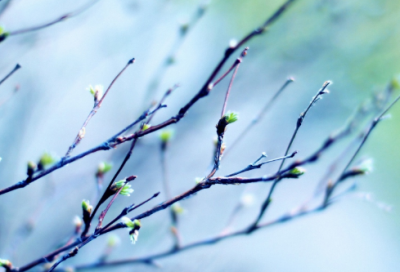 ​关于命运的经典语录 【关于命运的经典语句】