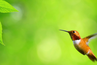 ​欢喜经典语录 【小欢喜的经典台词人生】