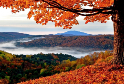 ​夏天正能量的句子经典语句图片 【100句精选】