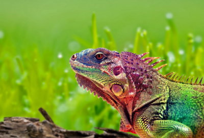 ​青春励志语录正能量 【青春励志语录经典短句唯美】