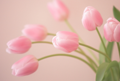 ​做人正能量的句子经典语句早安 【100句精选】