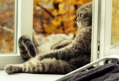 ​感悟人生的经典句子 【100句精选】